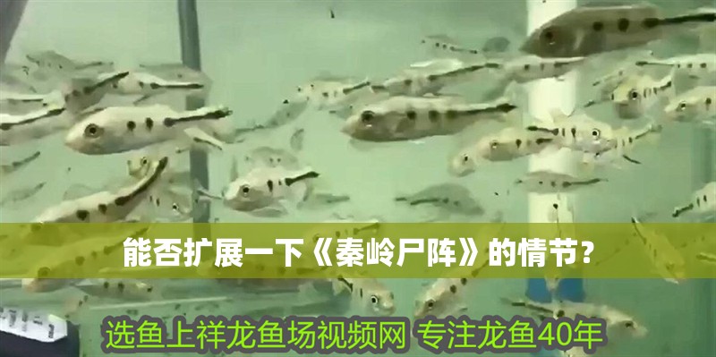 能否擴展一下《秦嶺尸陣》的情節？