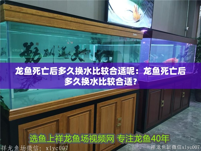 龍魚死亡后多久換水比較合適呢：龍魚死亡后多久換水比較合適？