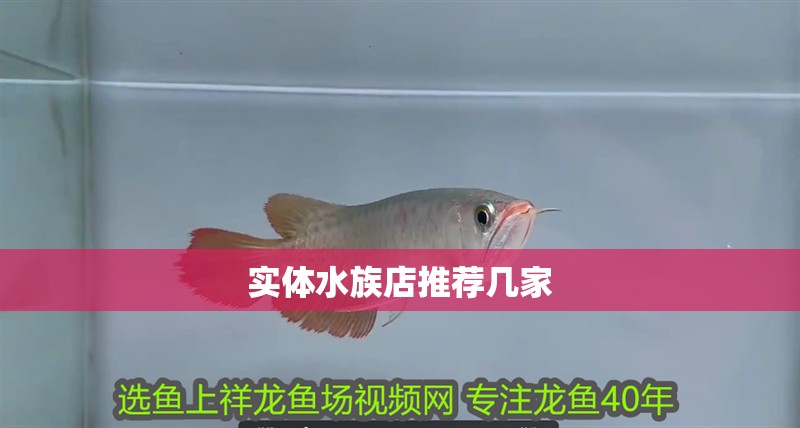 實體水族店推薦幾家