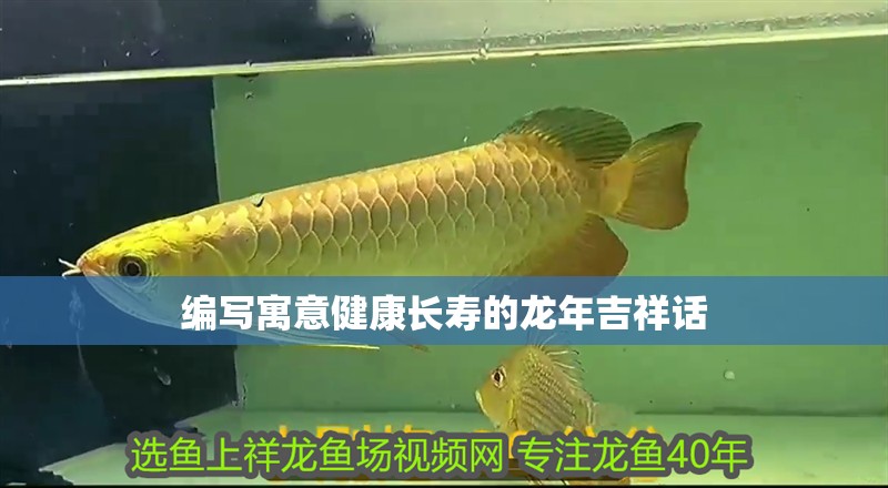 龍魚鰭尾增大的方法：龍魚鰭尾增大的方法：請注意：怎樣使龍魚鰭尾增大一些 龍魚鰭尾增大的方法：龍魚鰭尾增大的方法：請注意：怎樣使龍魚鰭尾增大一些 龍魚百科