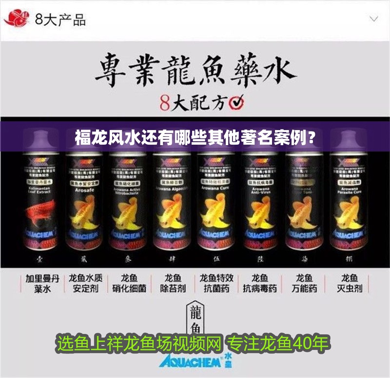 福龍風水還有哪些其他著名案例？