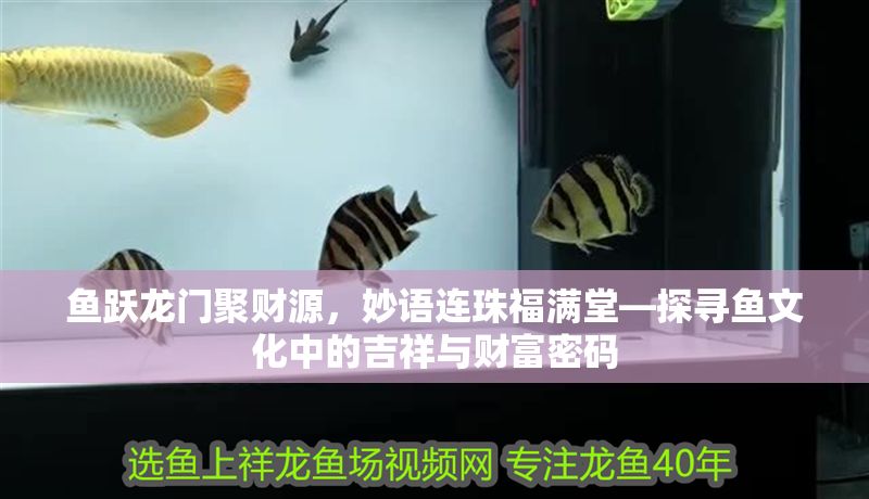 魚躍龍門聚財源，妙語連珠福滿堂—探尋魚文化中的吉祥與財富密碼