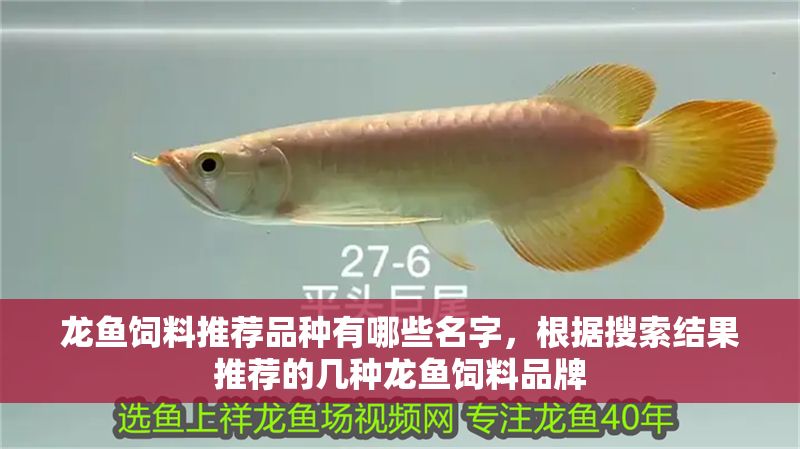 龍魚飼料推薦品種有哪些名字，根據搜索結果推薦的幾種龍魚飼料品牌