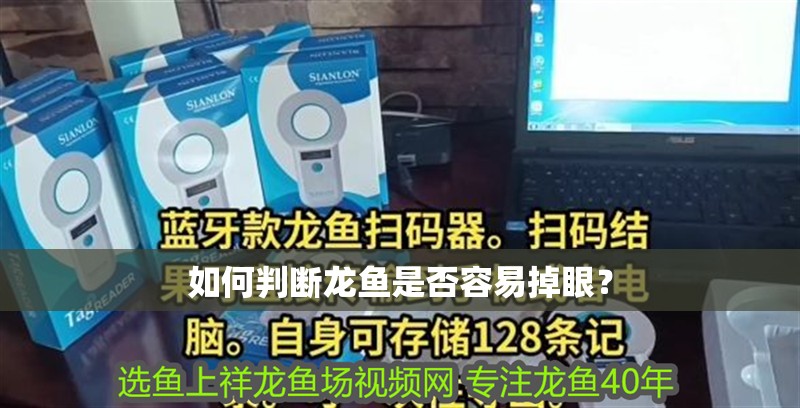 如何判斷龍魚是否容易掉眼？