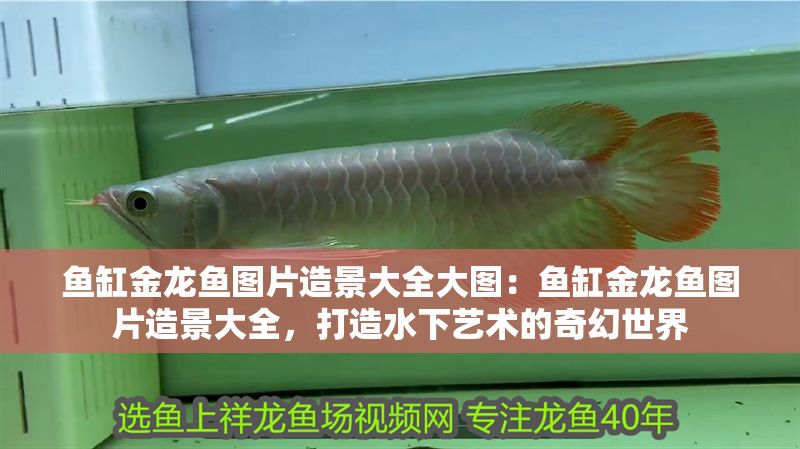 魚缸金龍魚圖片造景大全大圖：魚缸金龍魚圖片造景大全，打造水下藝術(shù)的奇幻世界 魚缸金龍魚圖片造景大全大圖：魚缸金龍魚圖片造景大全，打造水下藝術(shù)的奇幻世界 龍魚百科 第1張