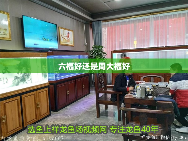 六福好還是周大福好