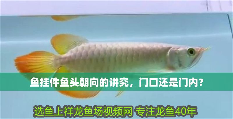 魚掛件魚頭朝向的講究，門口還是門內(nèi)？ 魚掛件魚頭朝向的講究，門口還是門內(nèi)？ 龍魚百科 第1張