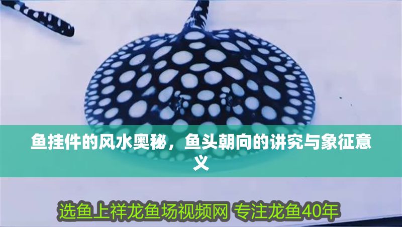 魚掛件的風水奧秘，魚頭朝向的講究與象征意義