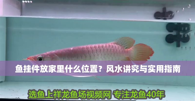 魚掛件放家里什么位置?風水講究與實用指南 龍魚百科 第1張 魚掛件放家里什么位置?風水講究與實用指南 魚掛件放家里什么位置?風水講究與實用指南 龍魚百科 第1張