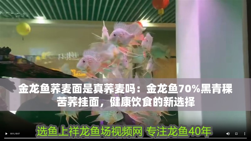 金龍魚蕎麥面是真蕎麥嗎：金龍魚70%黑青稞苦蕎掛面，健康飲食的新選擇