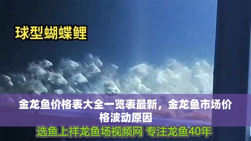 金龍魚價格表大全一覽表最新，金龍魚市場價格波動原因