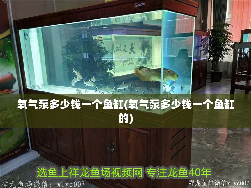 氧氣泵多少錢一個魚缸(氧氣泵多少錢一個魚缸的)
