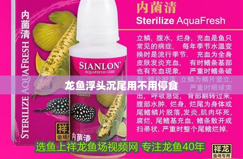 龍魚(yú)浮頭沉尾用不用停食