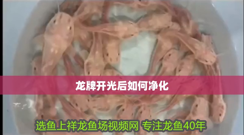 龍牌開光后如何凈化