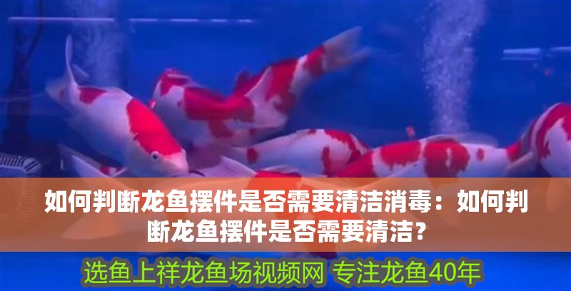 如何判斷龍魚擺件是否需要清潔消毒：如何判斷龍魚擺件是否需要清潔？