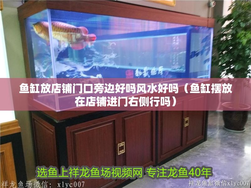 魚缸放店鋪門口旁邊好嗎風水好嗎（魚缸擺放在店鋪進門右側行嗎） 魚缸放店鋪門口旁邊好嗎風水好嗎（魚缸擺放在店鋪進門右側行嗎） 全國水族館企業(yè)名錄 第1張