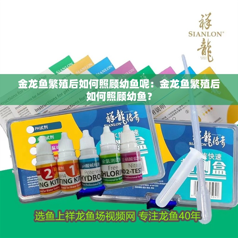 金龍魚繁殖后如何照顧幼魚呢：金龍魚繁殖后如何照顧幼魚？