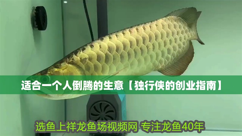 適合一個人倒騰的生意【獨行俠的創業指南】