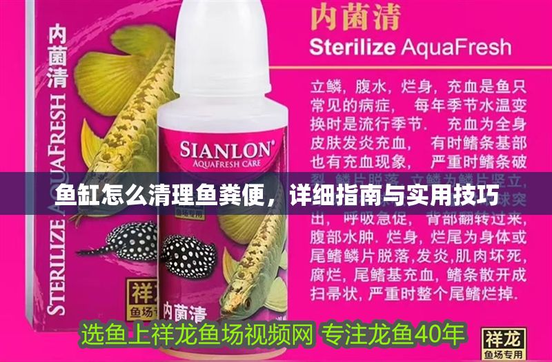 魚缸怎么清理魚糞便，詳細指南與實用技巧 魚缸怎么清理魚糞便，詳細指南與實用技巧 龍魚百科 第1張