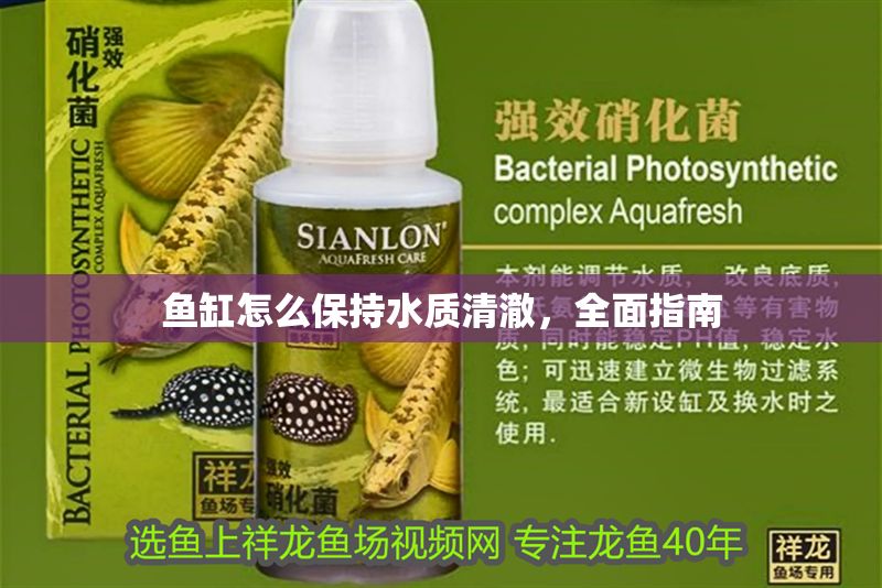 魚缸怎么保持水質清澈，全面指南