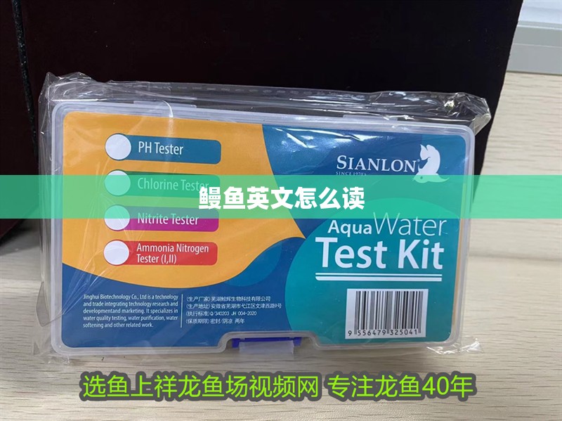 鰻魚英文怎么讀