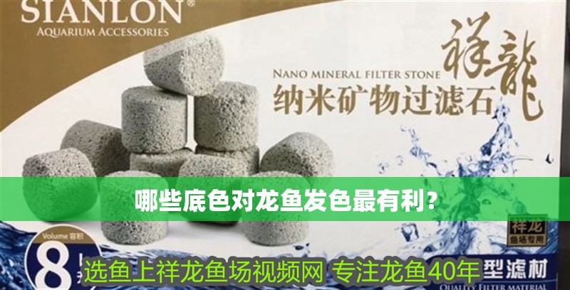 哪些底色對龍魚發(fā)色最有利？