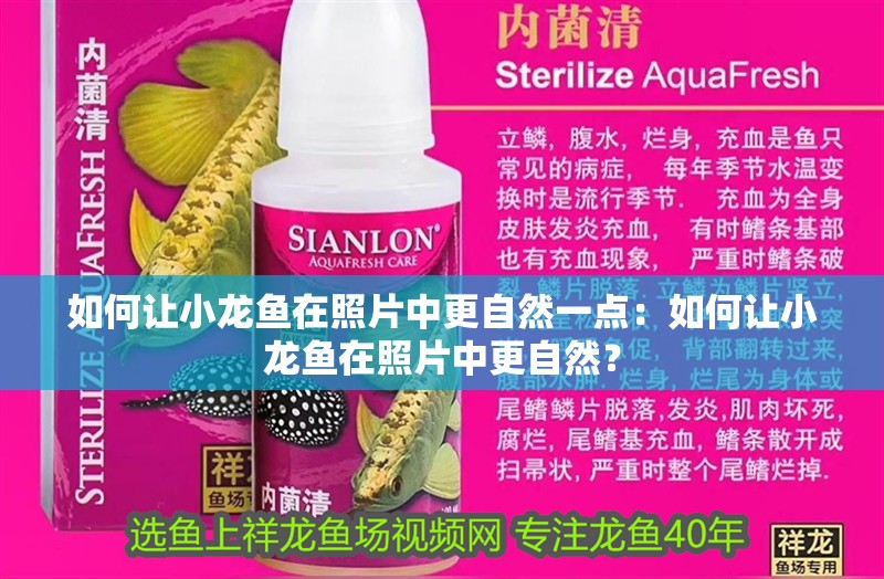 如何讓小龍魚在照片中更自然一點：如何讓小龍魚在照片中更自然？