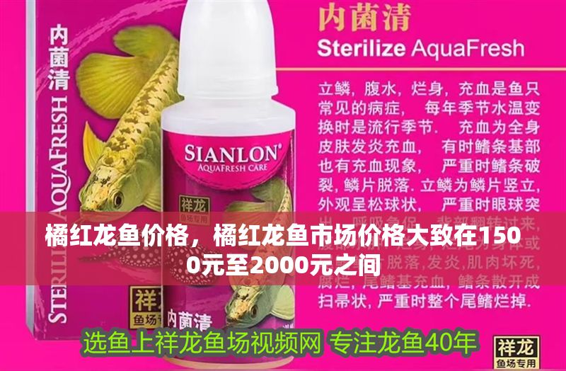 橘紅龍魚價格，橘紅龍魚市場價格大致在1500元至2000元之間