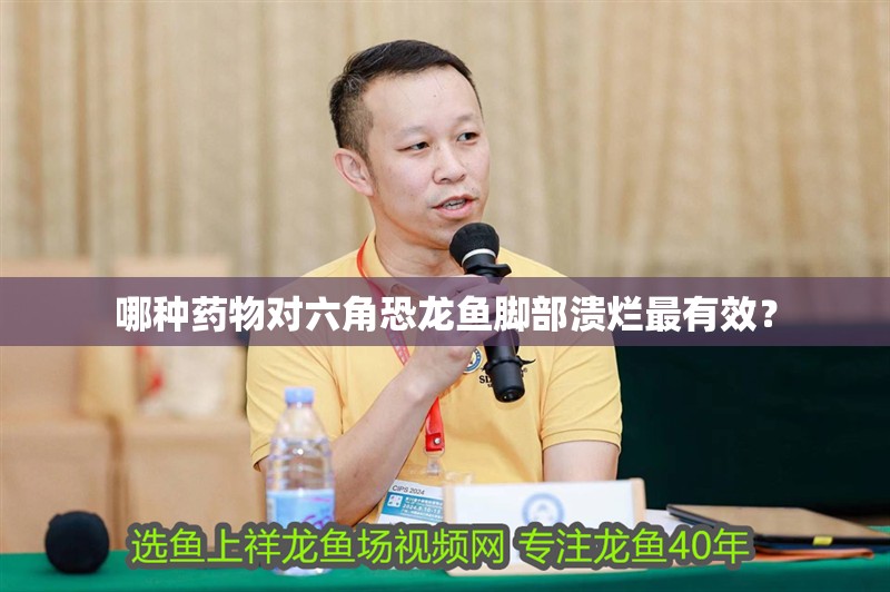 哪種藥物對六角恐龍魚腳部潰爛最有效？