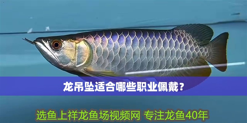 龍吊墜適合哪些職業佩戴？ 龍吊墜適合哪些職業佩戴？ 龍魚百科