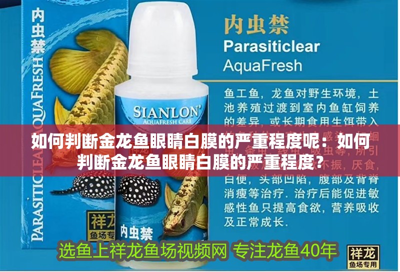 如何判斷金龍魚眼睛白膜的嚴重程度呢：如何判斷金龍魚眼睛白膜的嚴重程度？