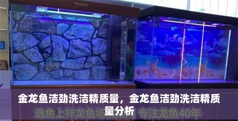 金龍魚潔勁洗潔精質(zhì)量，金龍魚潔勁洗潔精質(zhì)量分析 金龍魚潔勁洗潔精質(zhì)量，金龍魚潔勁洗潔精質(zhì)量分析 龍魚百科 第6張