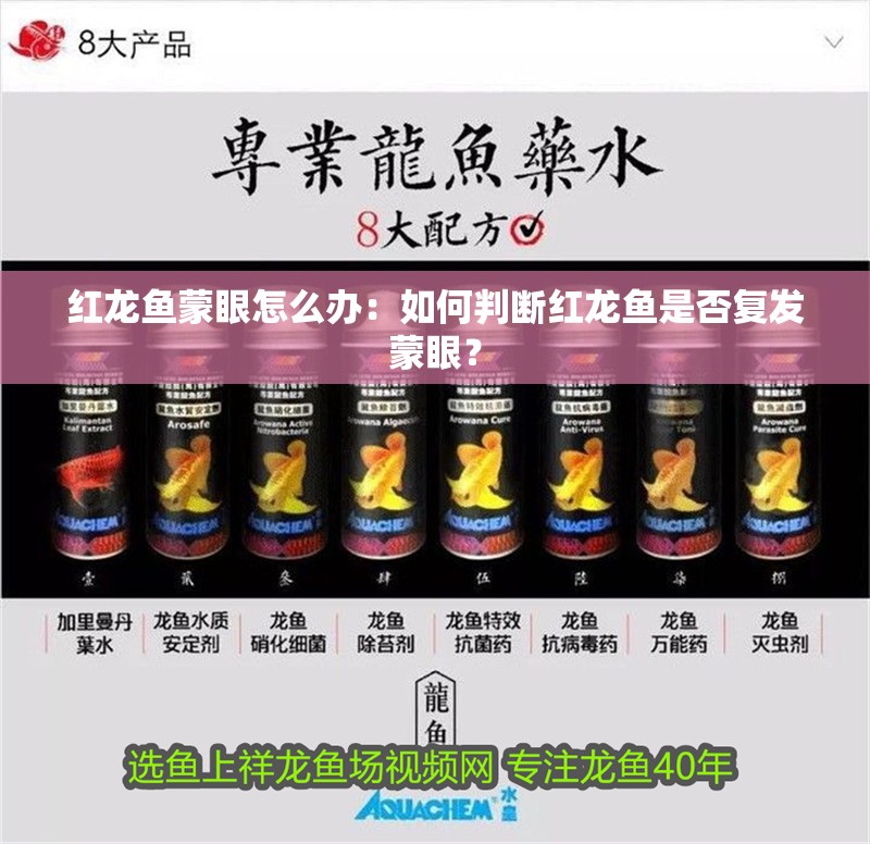紅龍魚蒙眼怎么辦：如何判斷紅龍魚是否復發蒙眼？