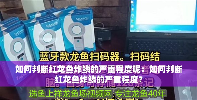 如何判斷紅龍魚炸鱗的嚴(yán)重程度呢：如何判斷紅龍魚炸鱗的嚴(yán)重程度？