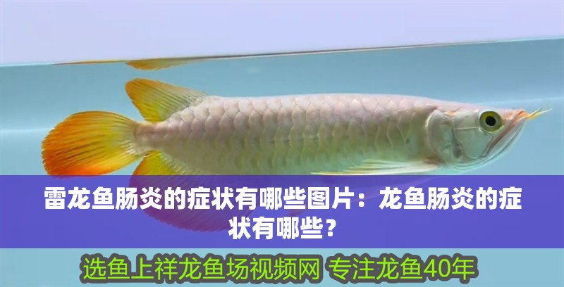 雷龍魚腸炎的癥狀有哪些圖片：龍魚腸炎的癥狀有哪些？