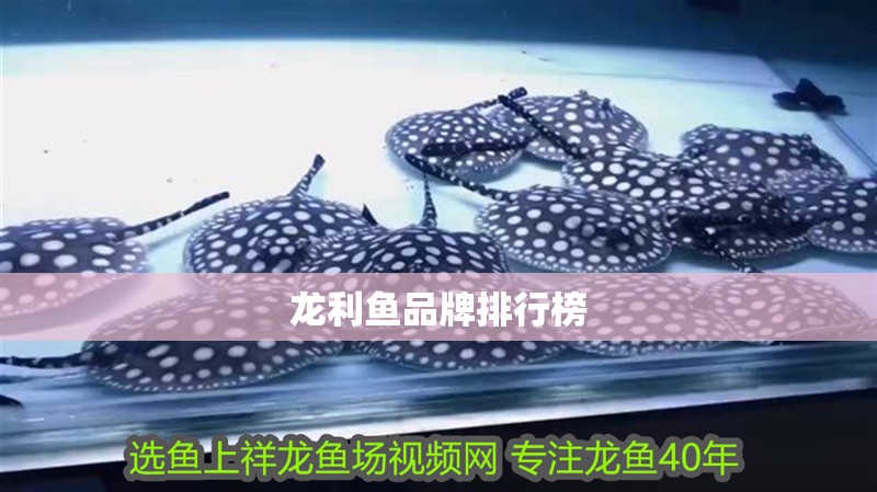 龍利魚品牌排行榜 龍利魚品牌排行榜 龍魚百科