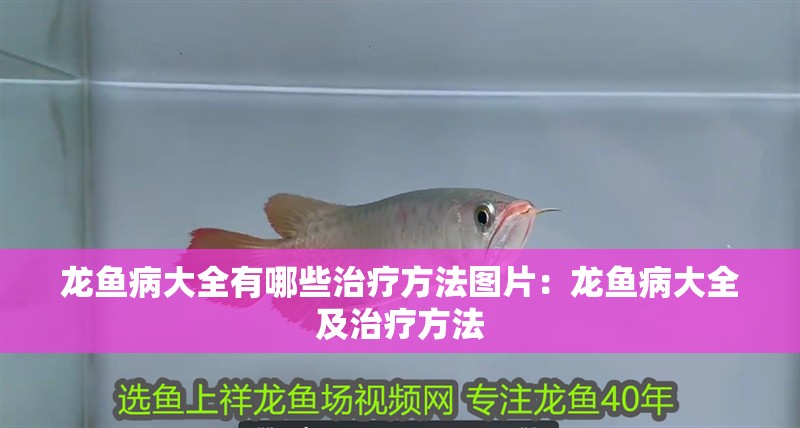 龍魚病大全有哪些治療方法圖片：龍魚病大全及治療方法
