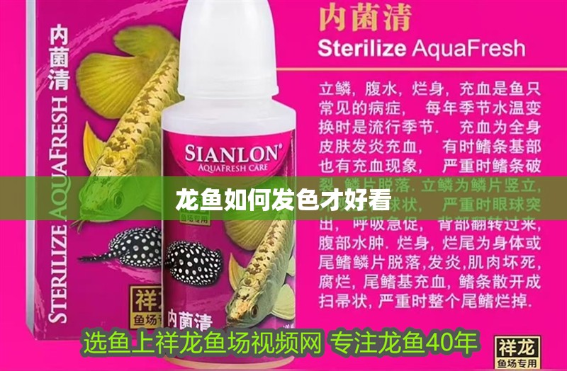 龍魚如何發(fā)色才好看