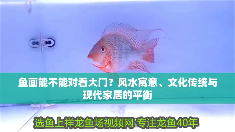 魚畫能不能對著大門？風水寓意、文化傳統(tǒng)與現(xiàn)代家居的平衡