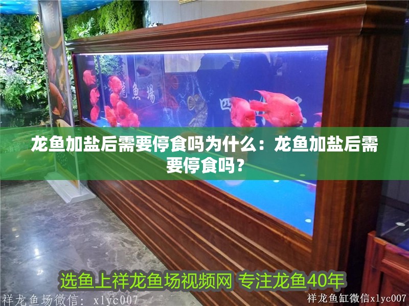 龍魚加鹽后需要停食嗎為什么：龍魚加鹽后需要停食嗎？