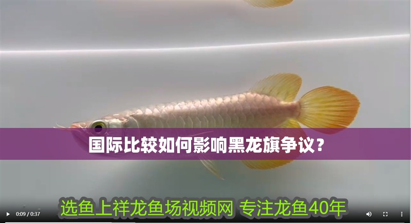 國際比較如何影響黑龍旗爭議？