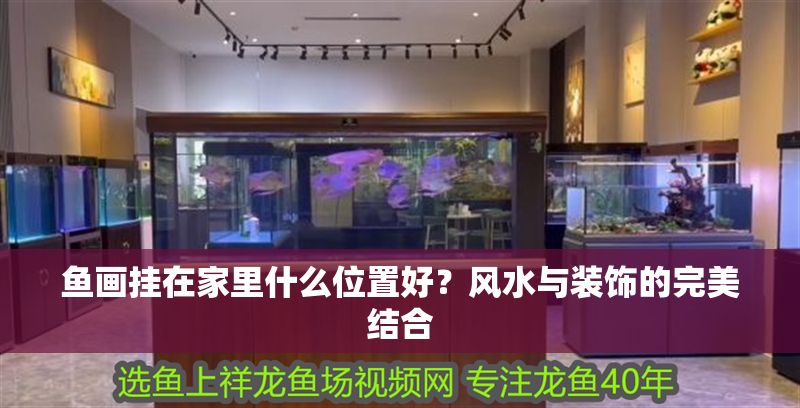 魚畫掛在家里什么位置好？風(fēng)水與裝飾的完美結(jié)合