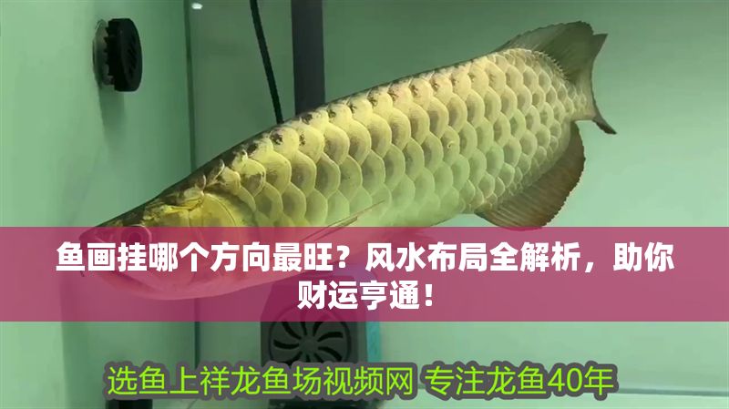 魚畫掛哪個方向最旺？風水布局全解析，助你財運亨通！