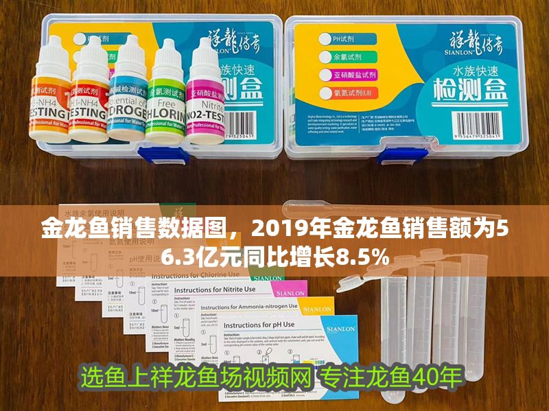 金龍魚銷售數據圖，2019年金龍魚銷售額為56.3億元同比增長8.5% 金龍魚銷售數據圖，2019年金龍魚銷售額為56.3億元同比增長8.5% 龍魚百科 第2張