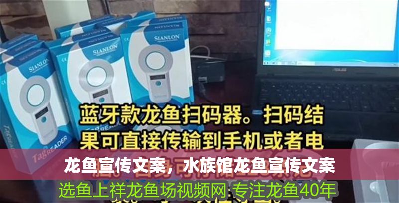 龍魚宣傳文案，水族館龍魚宣傳文案