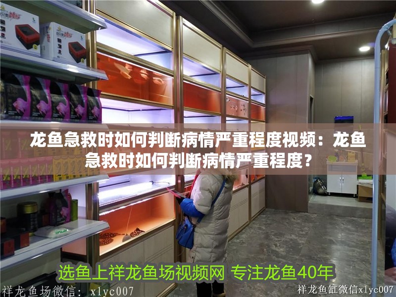 龍魚急救時如何判斷病情嚴重程度視頻：龍魚急救時如何判斷病情嚴重程度？