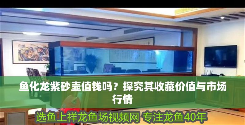 魚化龍紫砂壺值錢嗎？探究其收藏價(jià)值與市場(chǎng)行情