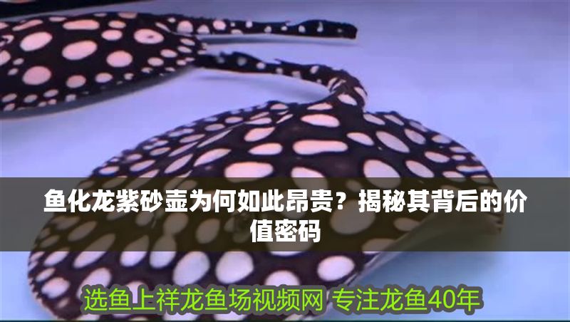 魚化龍紫砂壺為何如此昂貴？揭秘其背后的價值密碼
