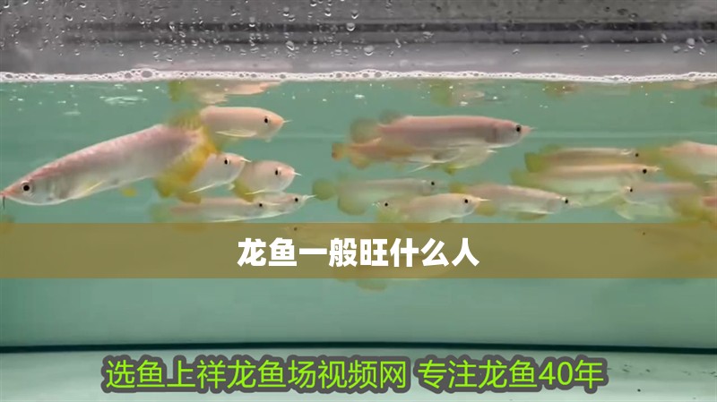 龍魚一般旺什么人