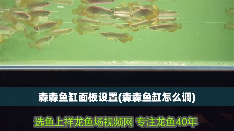 森森魚缸面板設置(森森魚缸怎么調)